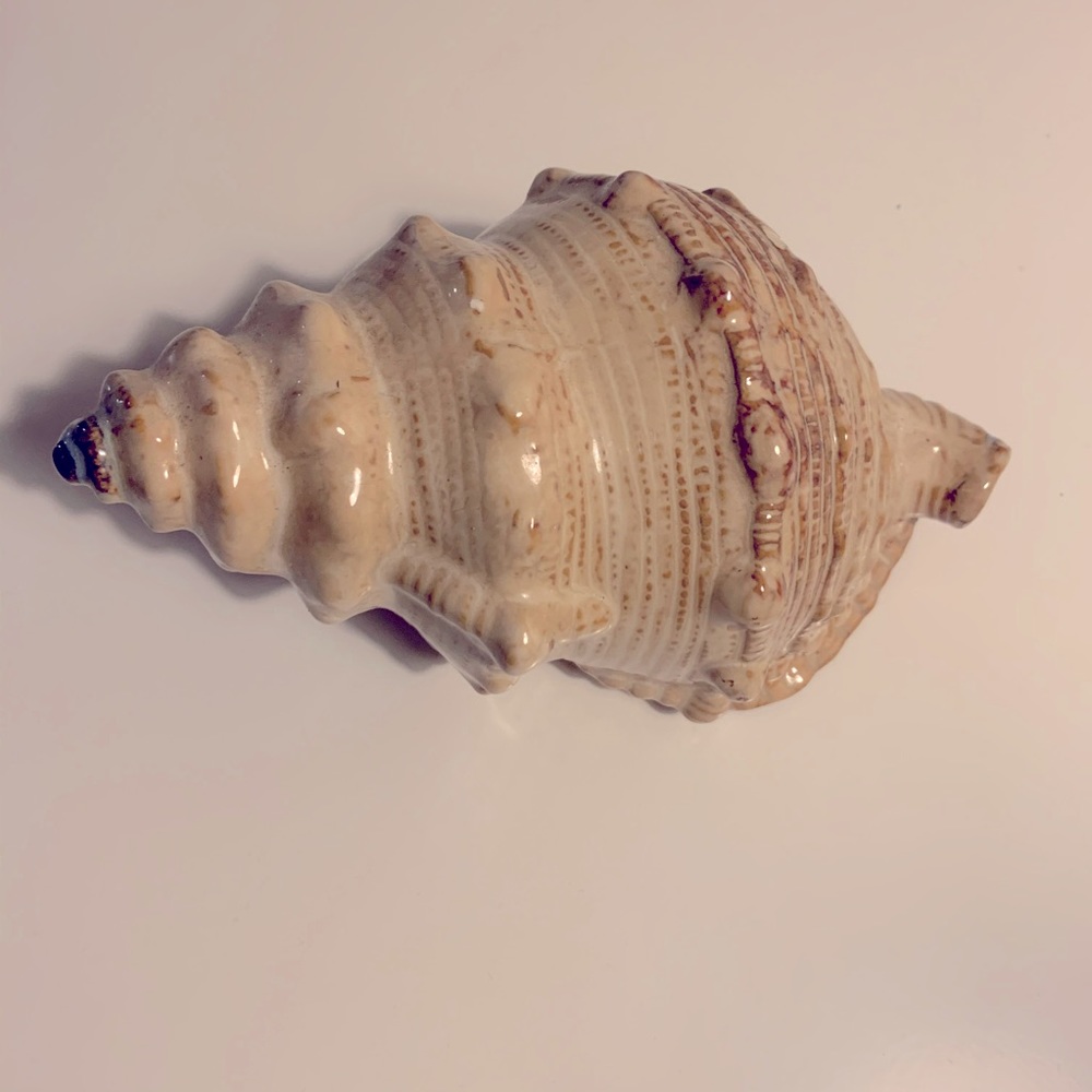 Tie & Tale Beach Theme Seashell Decor Size OS EUC